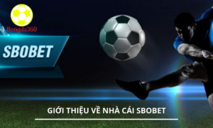 Gioi thieu nha cai sbobet cach lay trang tong sbobet